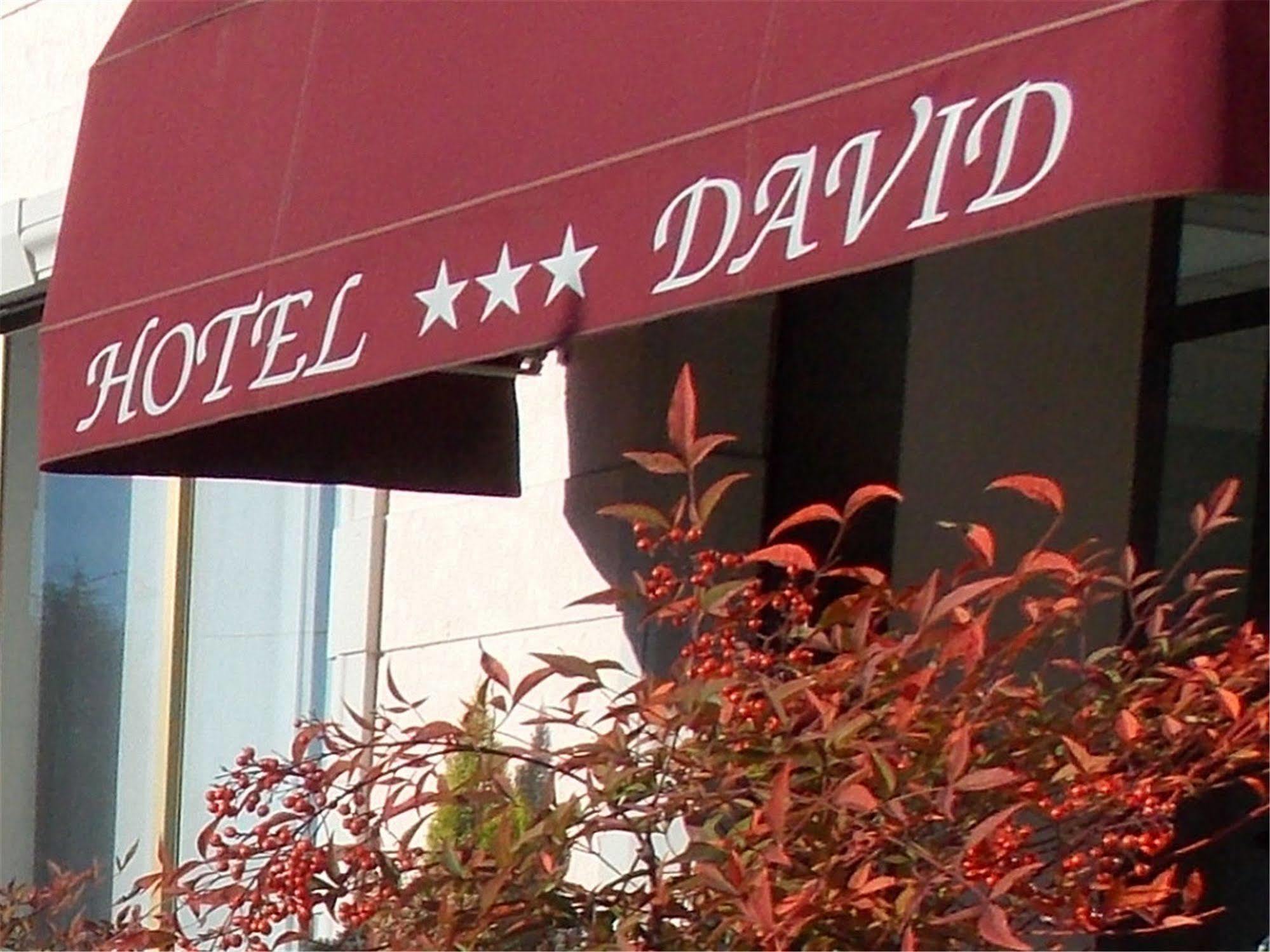 Hotel David เซสโต คาเลนดิ ภายนอก รูปภาพ